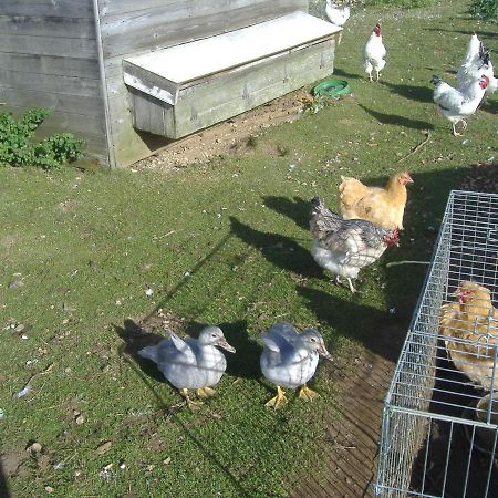 South Moor Farm Panzió Scarborough Kültér fotó